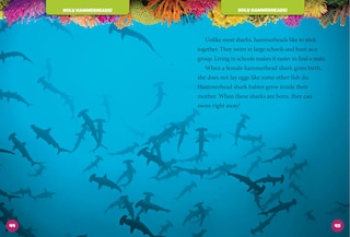 Aperçu du contenu_National Geographic Kids 5-Minute Shark Stories