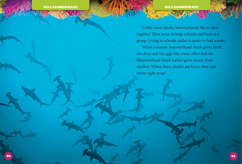 Aperçu du contenu_National Geographic Kids 5-Minute Shark Stories