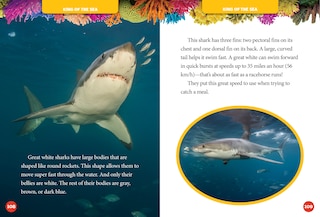 Aperçu du contenu 2_National Geographic Kids 5-Minute Shark Stories