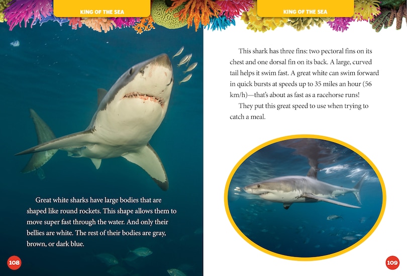 Aperçu du contenu 2_National Geographic Kids 5-Minute Shark Stories