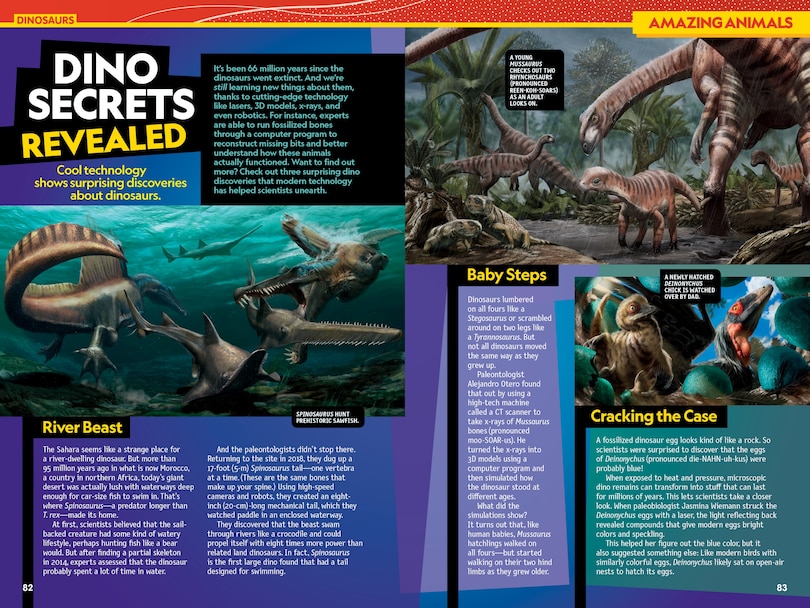 Sample content 3_National Geographic Kids Almanac 2025