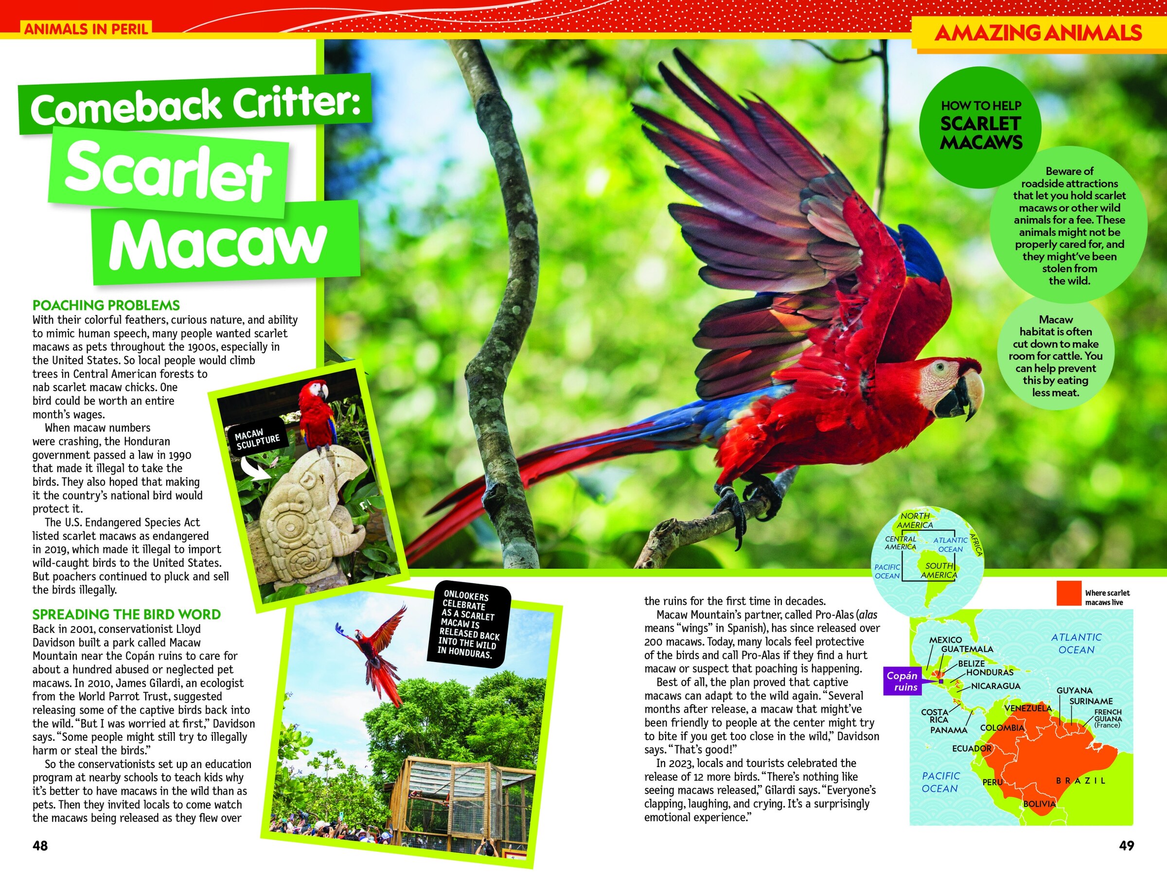 National Geographic Kids Almanac 2026 Book By National Geographic