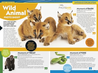 Aper&ccedil;u du contenu 2_National Geographic Kids Almanac 2027