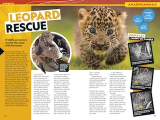 Aper&ccedil;u du contenu 4_National Geographic Kids Almanac 2027