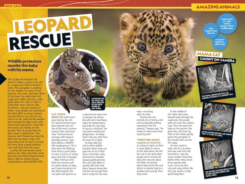 Aper&ccedil;u du contenu 4_National Geographic Kids Almanac 2027