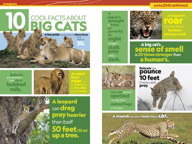 Aper&ccedil;u du contenu 5_National Geographic Kids Almanac 2027