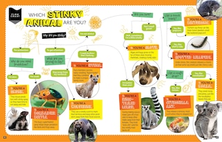 Sample content 3_National Geographic Kids Personality Quizzes