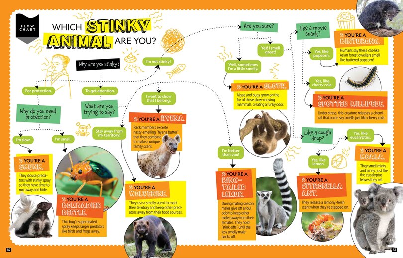 Sample content 3_National Geographic Kids Personality Quizzes