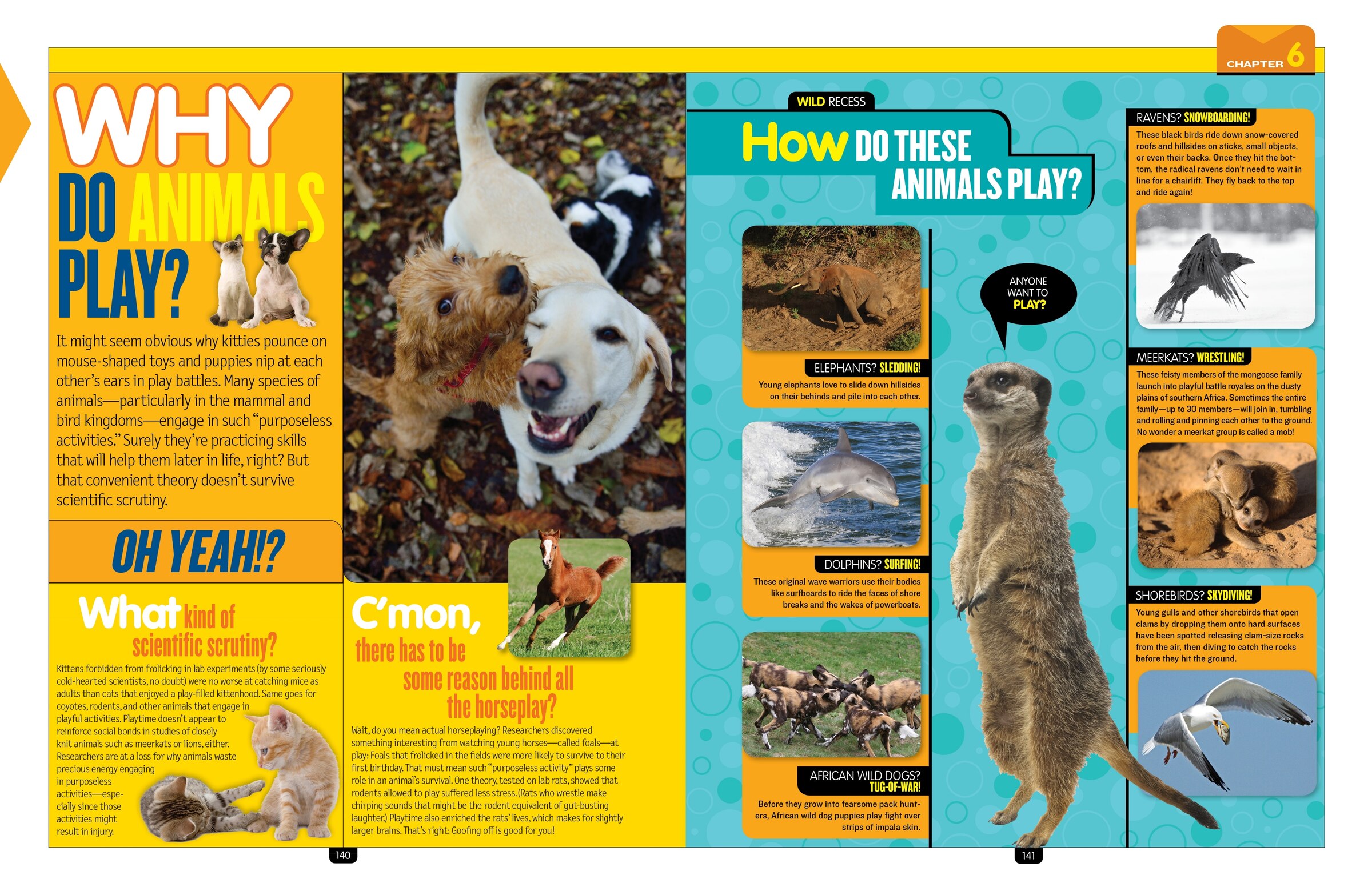 National Geographic Kids 153冊他 National Geographic Kids 153冊他