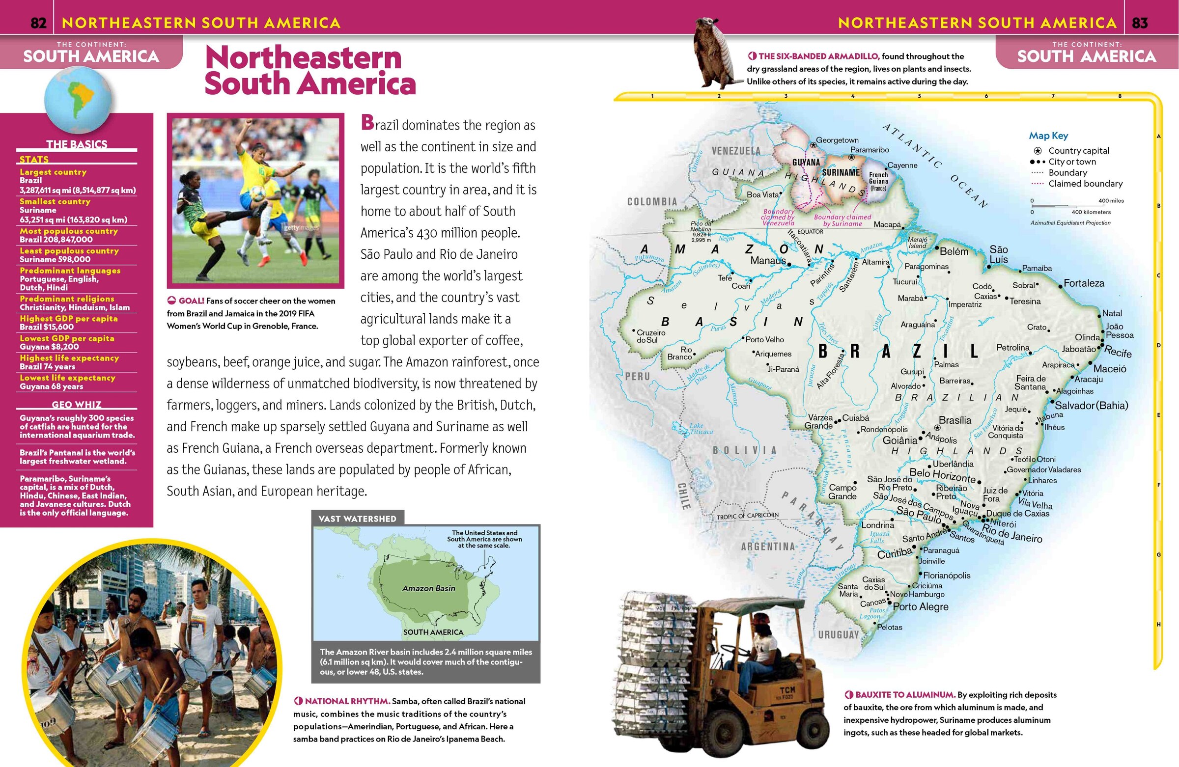 【新品】National Geographic kidsレベル2【25冊】 National Geographic Kids - Level 2 (25 Books) – 4myLo