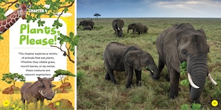 Sample content 2_National Geographic Little Kids First Big Book of African Animals