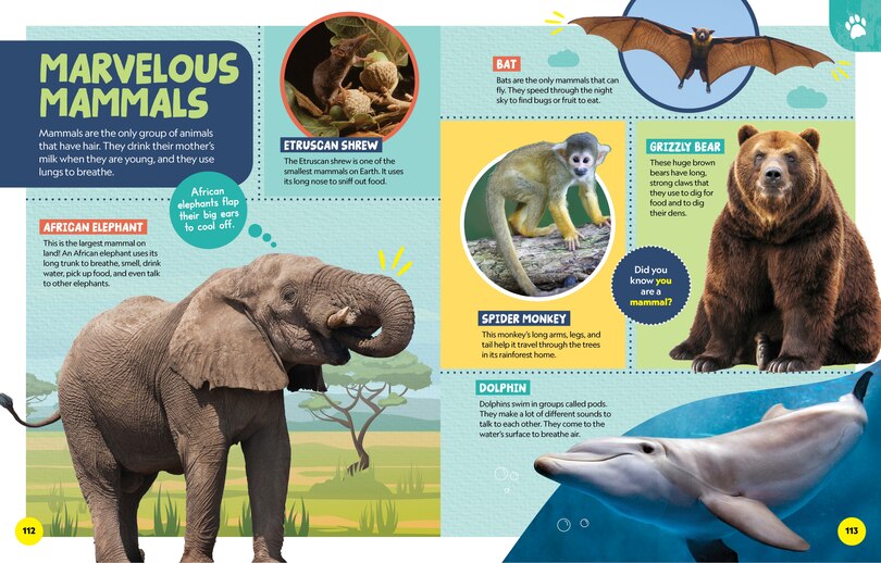 Aperçu du contenu 2_National Geographic Little Kids First Encyclopedia of Almost Everything