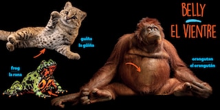 Aper&ccedil;u du contenu_National Geographic Photo Ark Bodies / Cuerpos