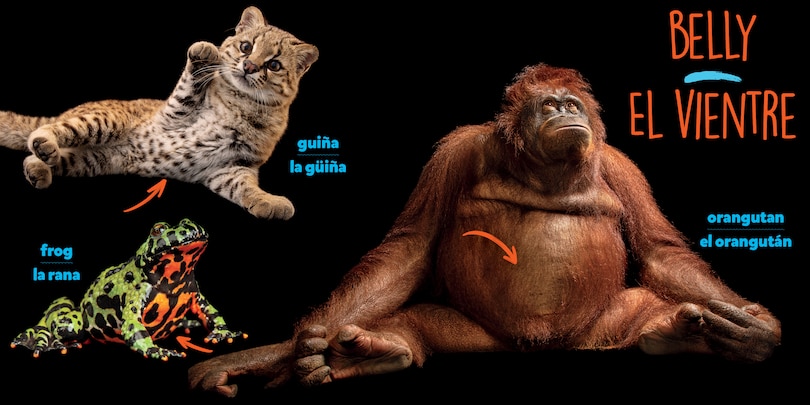 Aper&ccedil;u du contenu_National Geographic Photo Ark Bodies / Cuerpos