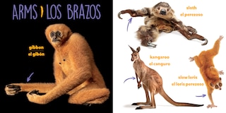 Aper&ccedil;u du contenu 2_National Geographic Photo Ark Bodies / Cuerpos