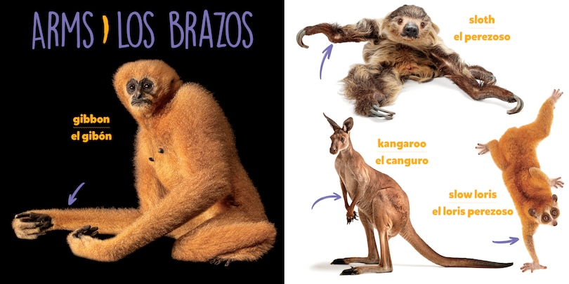 Aper&ccedil;u du contenu 2_National Geographic Photo Ark Bodies / Cuerpos