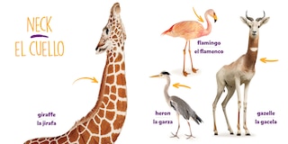 Aper&ccedil;u du contenu 3_National Geographic Photo Ark Bodies / Cuerpos