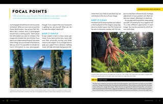 Sample content_National Geographic Photo Basics