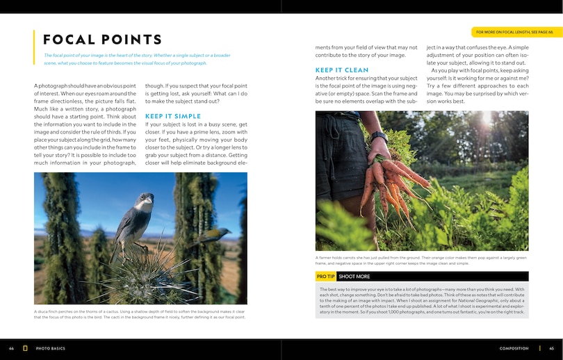 Sample content_National Geographic Photo Basics