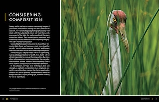 Sample content 2_National Geographic Photo Basics