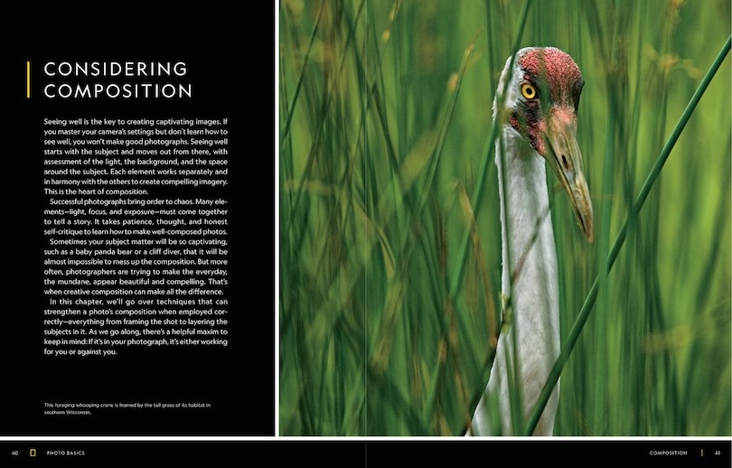 Sample content 2_National Geographic Photo Basics