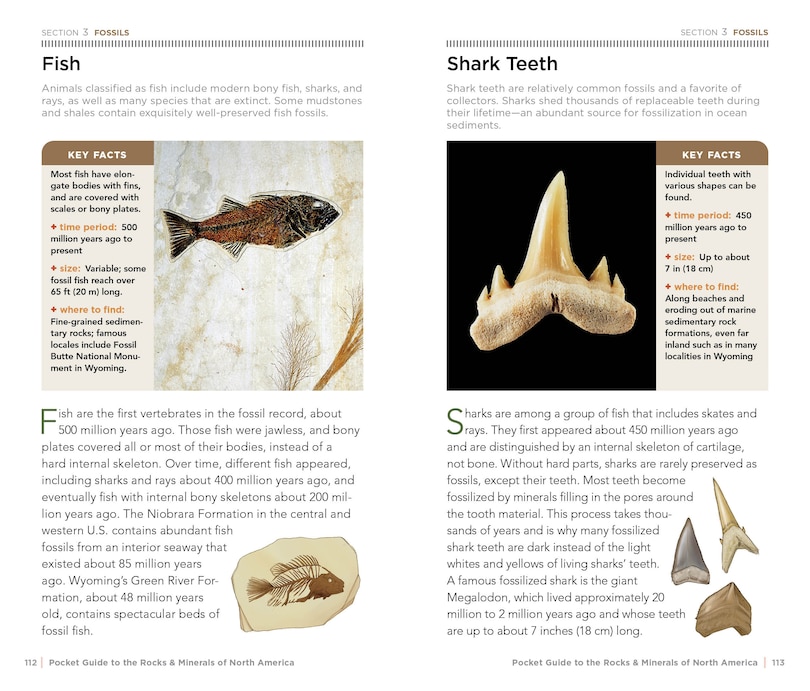 Sample content 5_National Geographic Pocket Guide To Rocks And Minerals Of North America