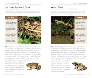 Sample content_National Geographic Pocket Guide To Reptiles And Amphibians Of North America