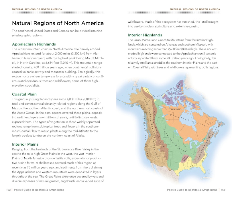 Sample content 2_National Geographic Pocket Guide To Reptiles And Amphibians Of North America