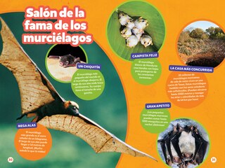 Aper&ccedil;u du contenu_National Geographic Readers: Los Murci&eacute;lagos