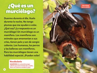Aper&ccedil;u du contenu 2_National Geographic Readers: Los Murci&eacute;lagos