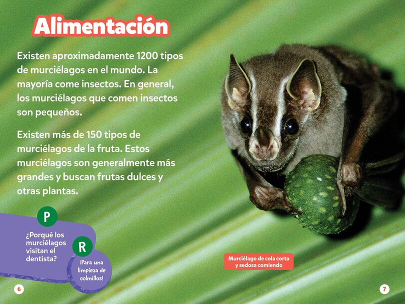 Aper&ccedil;u du contenu 3_National Geographic Readers: Los Murci&eacute;lagos