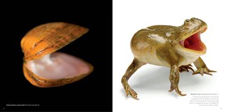 Sample content_National Geographic The Photo Ark