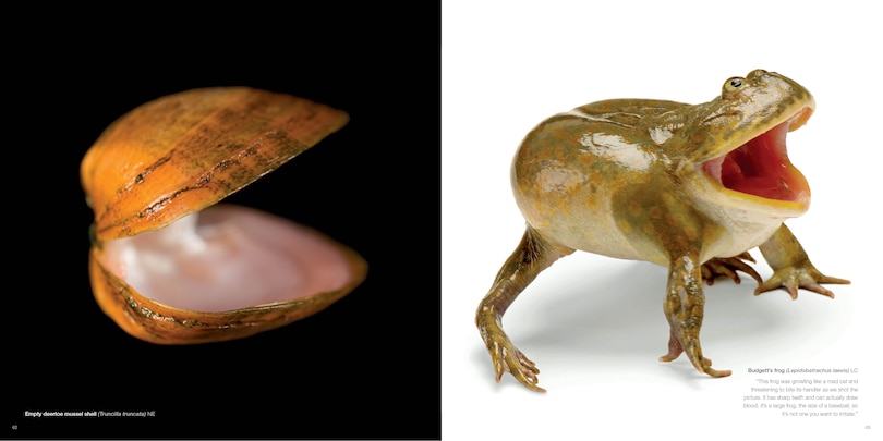 Sample content_National Geographic The Photo Ark