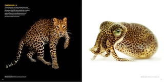 Sample content 2_National Geographic The Photo Ark