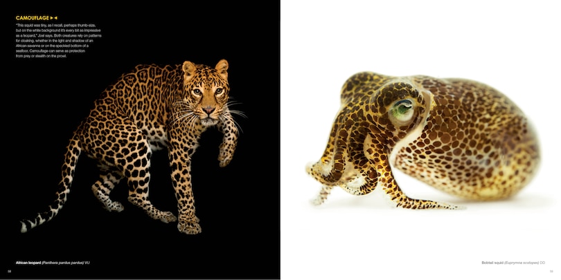 Sample content 2_National Geographic The Photo Ark