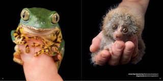 Sample content 3_National Geographic The Photo Ark