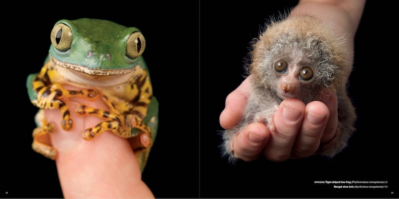 Sample content 3_National Geographic The Photo Ark