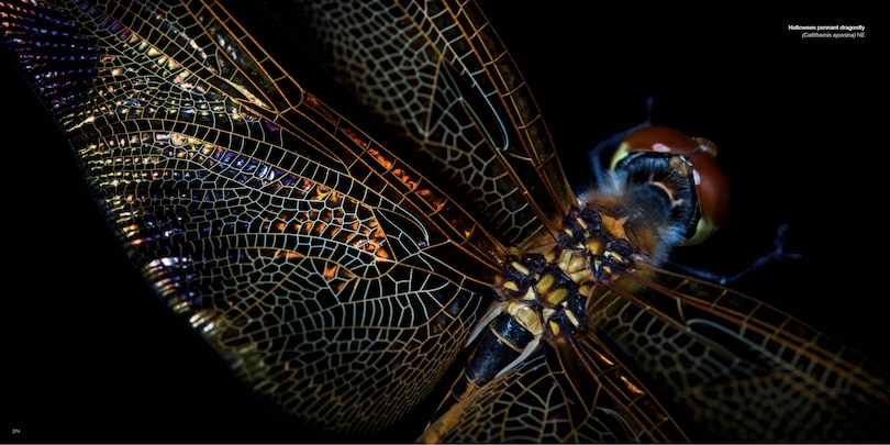 Sample content 4_National Geographic The Photo Ark