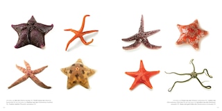 Sample content 5_National Geographic The Photo Ark