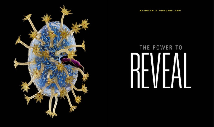 Sample content 5_National Geographic The Photographs