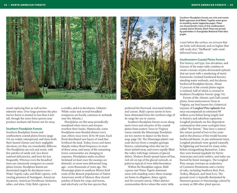 Aperçu du contenu 2_National Wildlife Federation Field Guide to Trees of North America