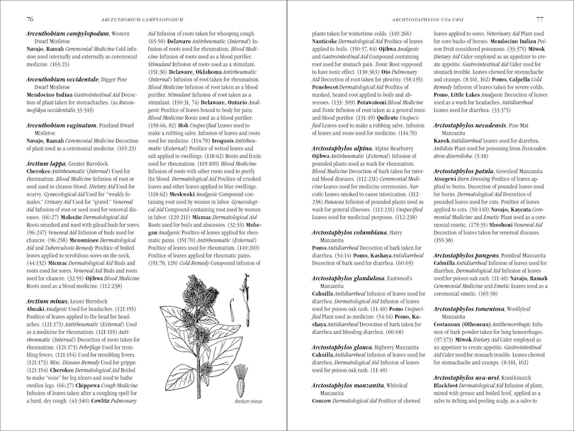 Sample content_Native American Medicinal Plants