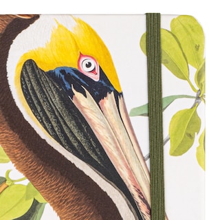 Aperçu du contenu_Natural Histories Animal Kingdom 12-Month 2025 Planner