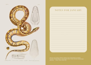Aperçu du contenu 4_Natural Histories Animal Kingdom 12-Month 2025 Planner