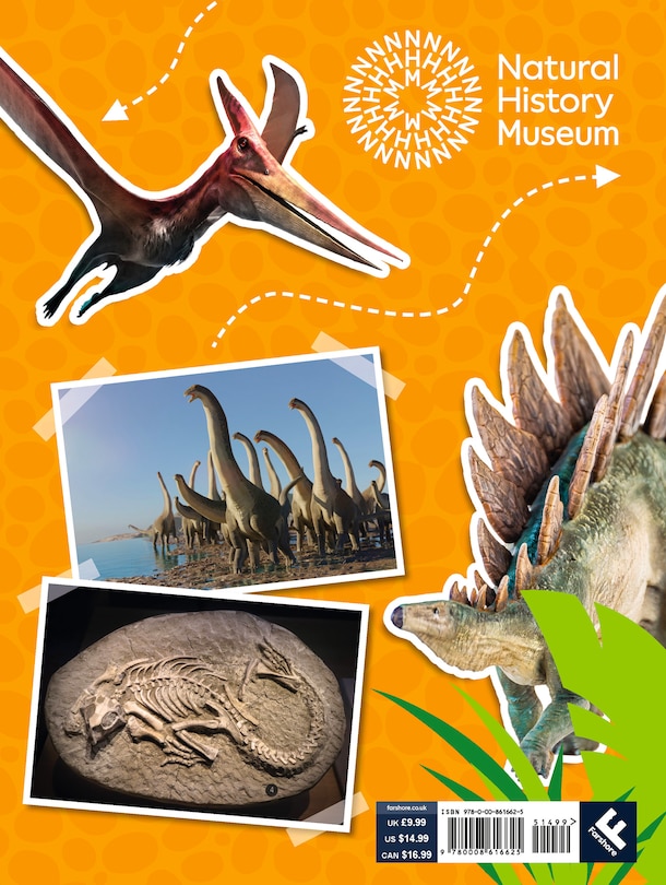 Back cover_Natural History Museum Dinosaurs Annual 2025