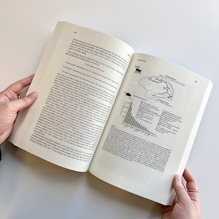 Sample content 2_Natural Neuroscience