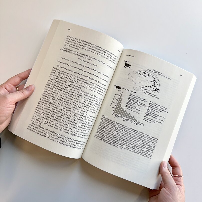 Sample content 2_Natural Neuroscience