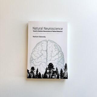 Sample content 3_Natural Neuroscience