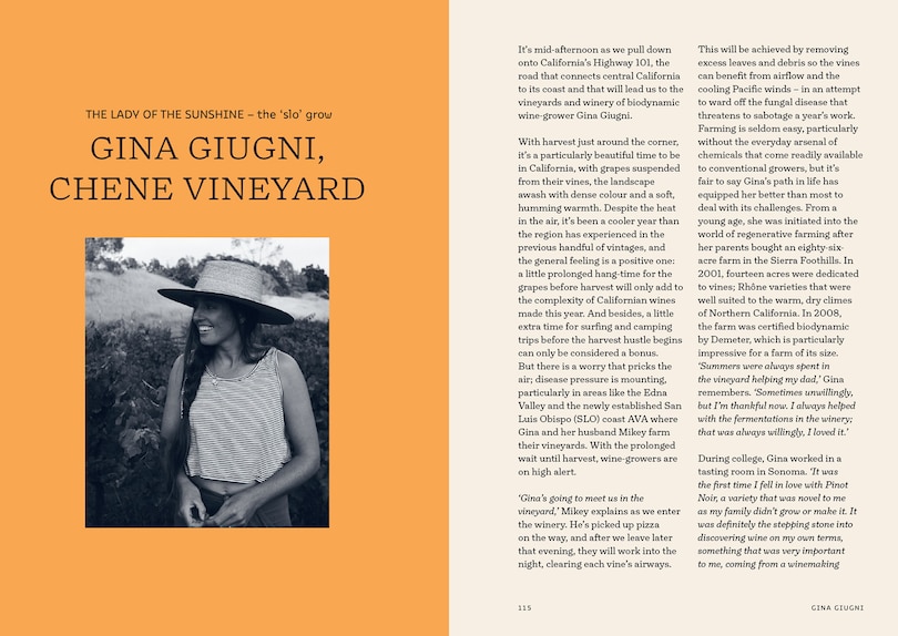 Aper&ccedil;u du contenu 5_Natural Wine, No Drama