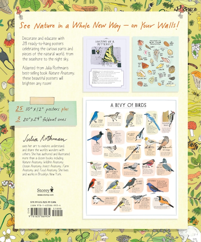 Back cover_Nature Anatomy Posters